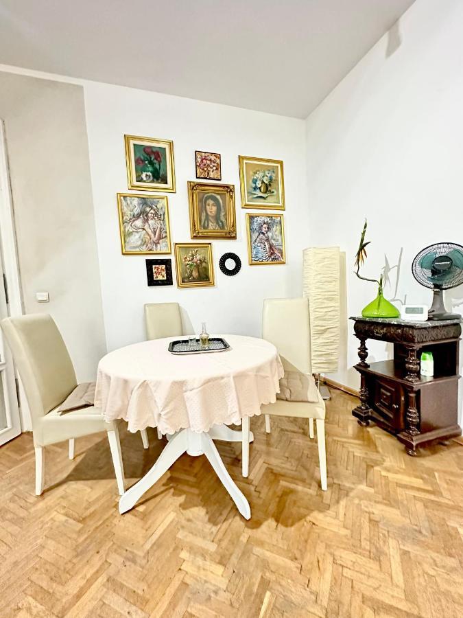 Charming Apartament City Center ティミショアラ エクステリア 写真