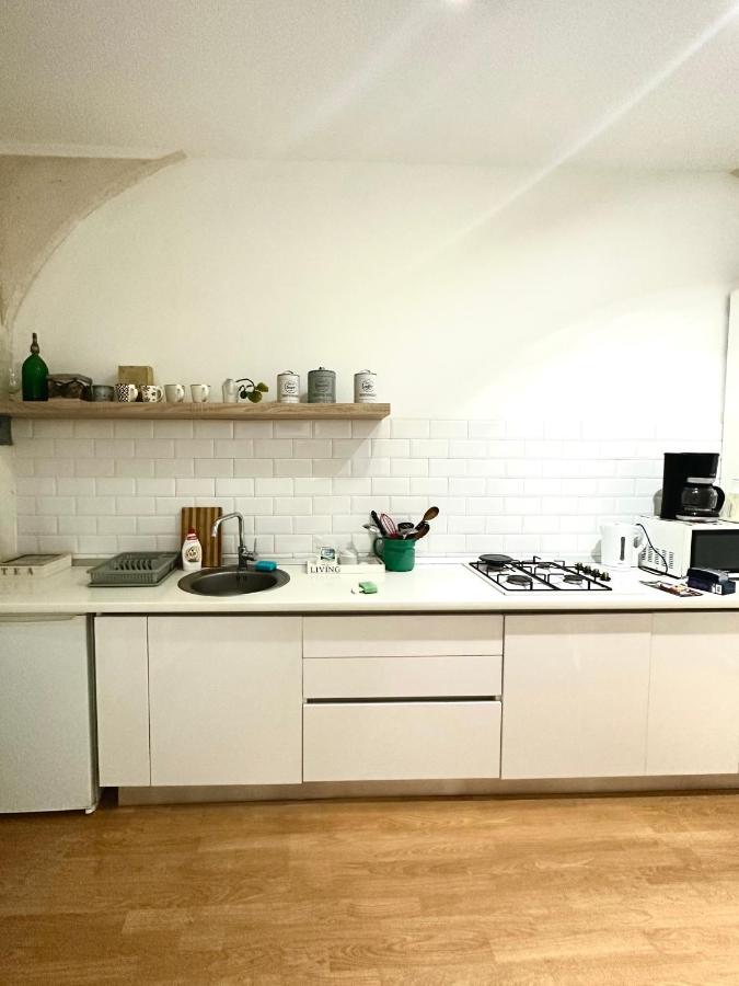 Charming Apartament City Center ティミショアラ エクステリア 写真