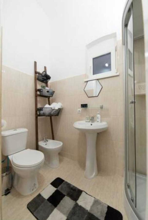 Charming Apartament City Center ティミショアラ エクステリア 写真