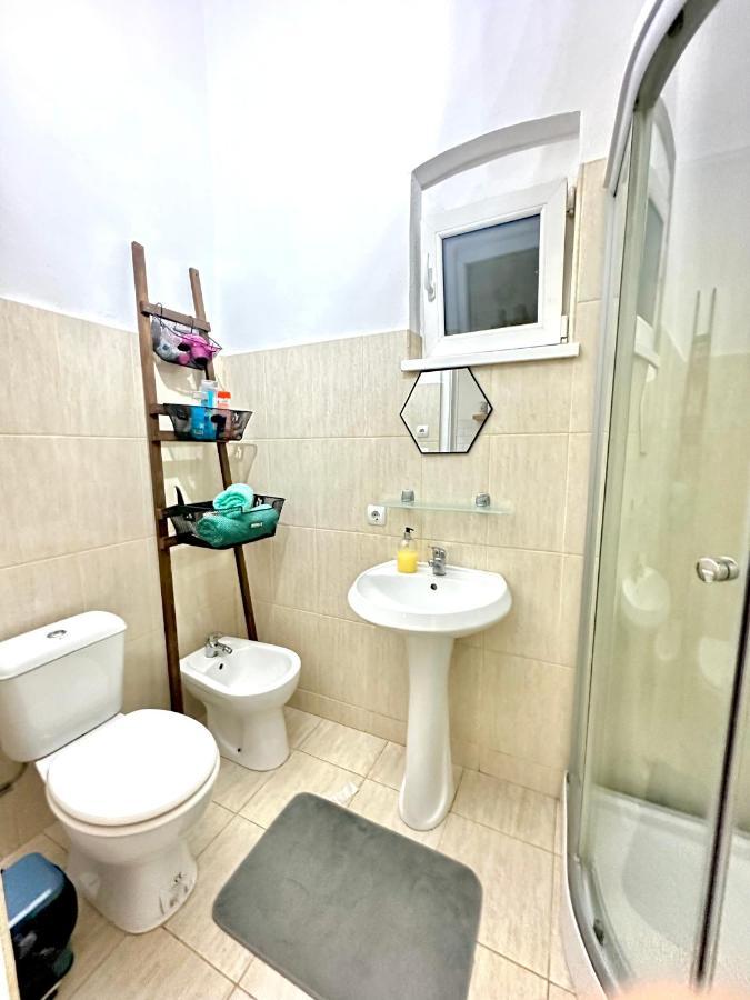 Charming Apartament City Center ティミショアラ エクステリア 写真